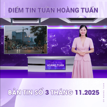 Bản tin tuần Dr Hoàng Tuấn số 24 - Tuần 3 tháng 11/2025